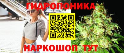 трава Донецк