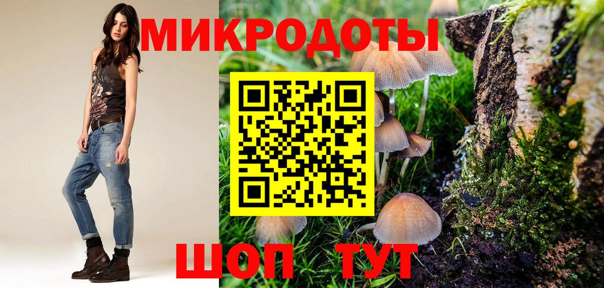 Псилоцибиновые грибы Psilocybe Михайловск